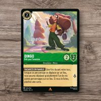 Dingo – Prêt pour l&rsquo;aventure