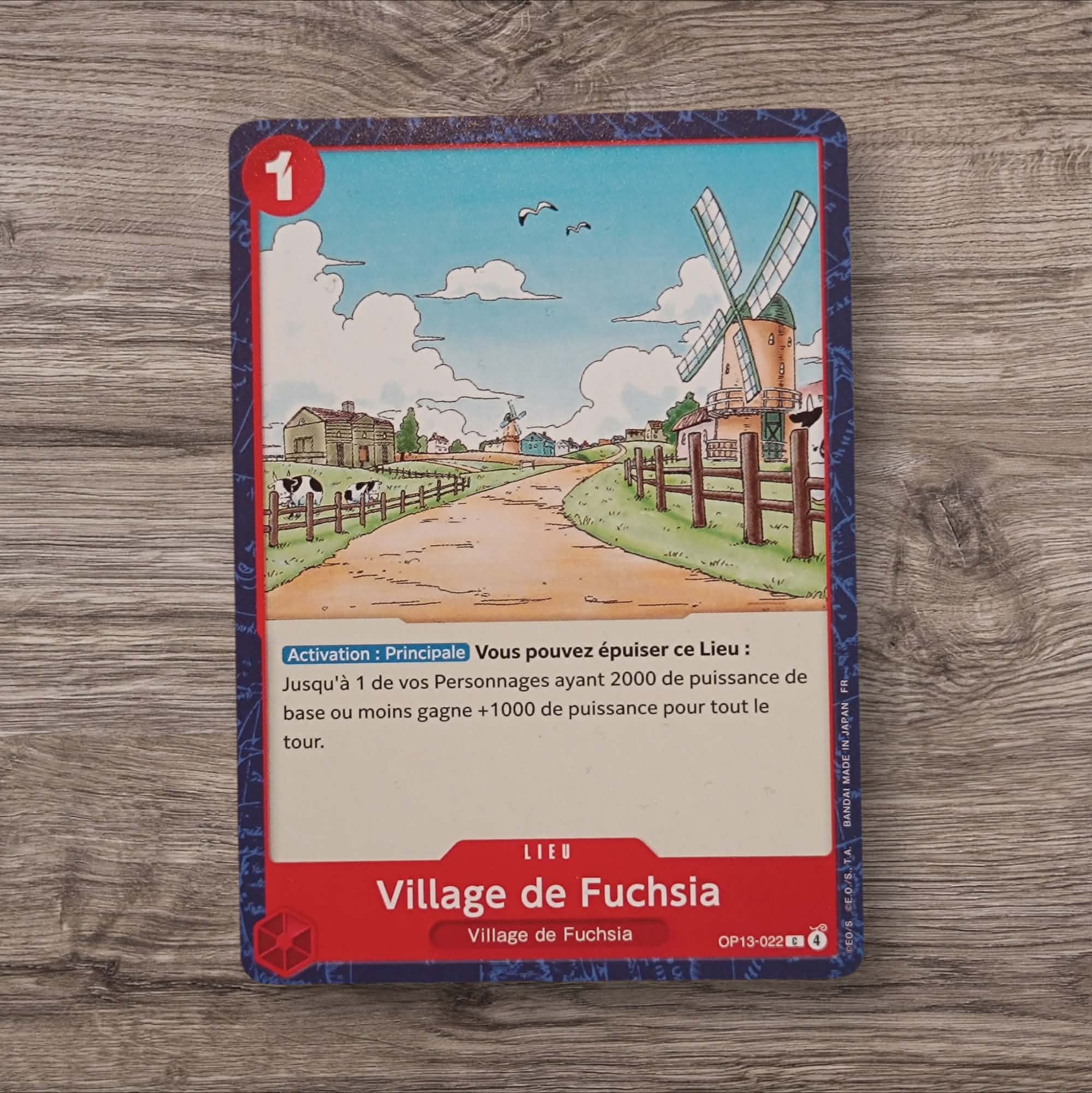 Village de Fuchsia