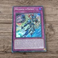 Mélange d&rsquo;esprit