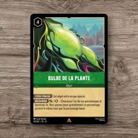 Bulbe de la plante