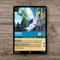 Merlin – Envisage l&rsquo;avenir